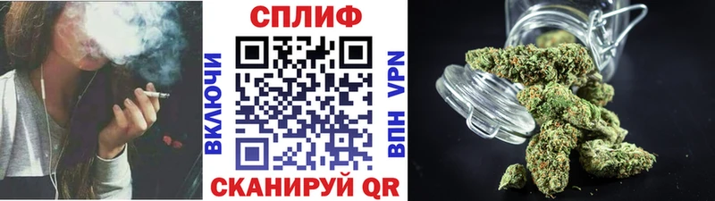 Шишки марихуана сатива  Любим 